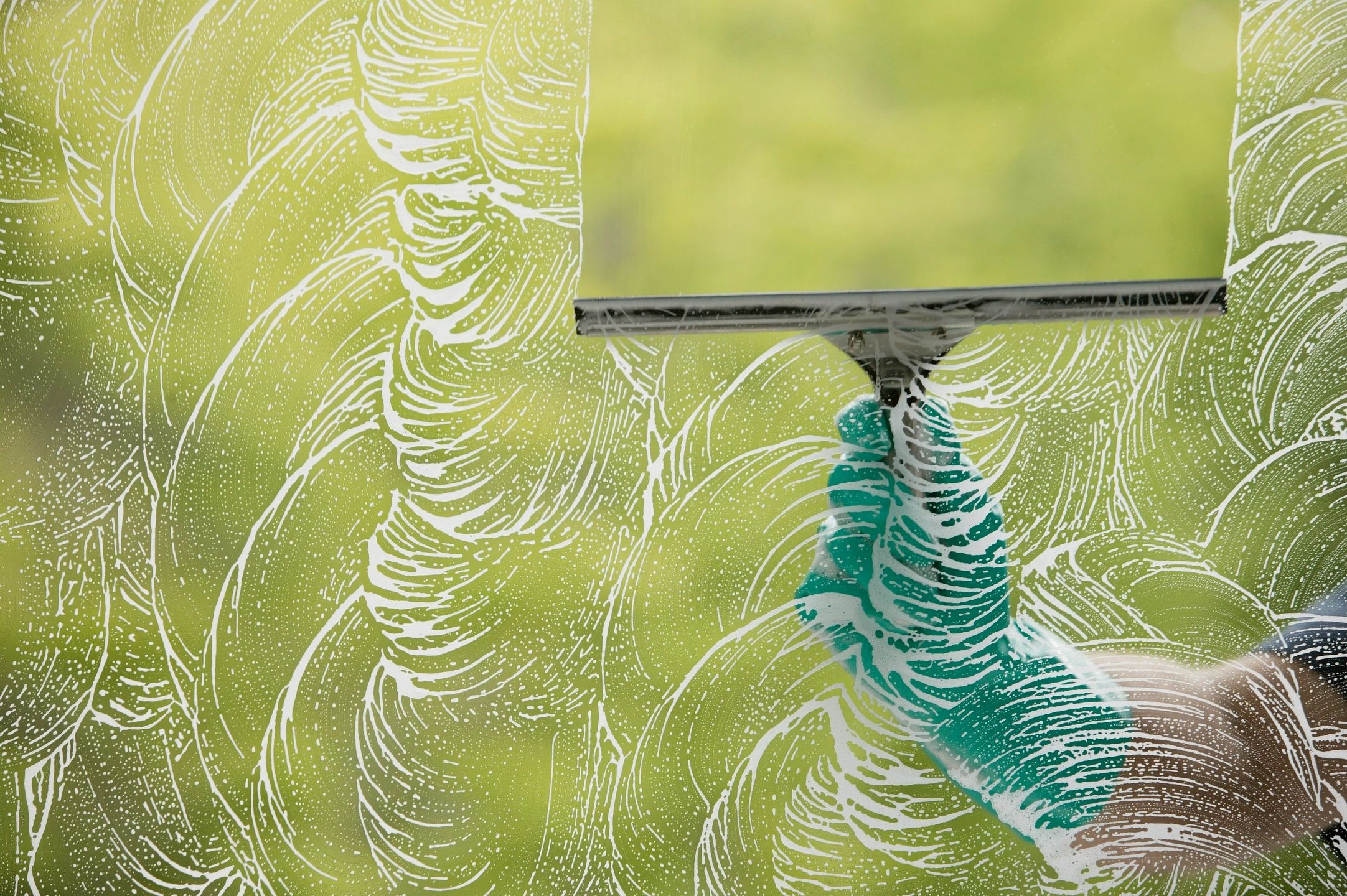 The Squeegee Wizards cleaning windows to a streak-free shine